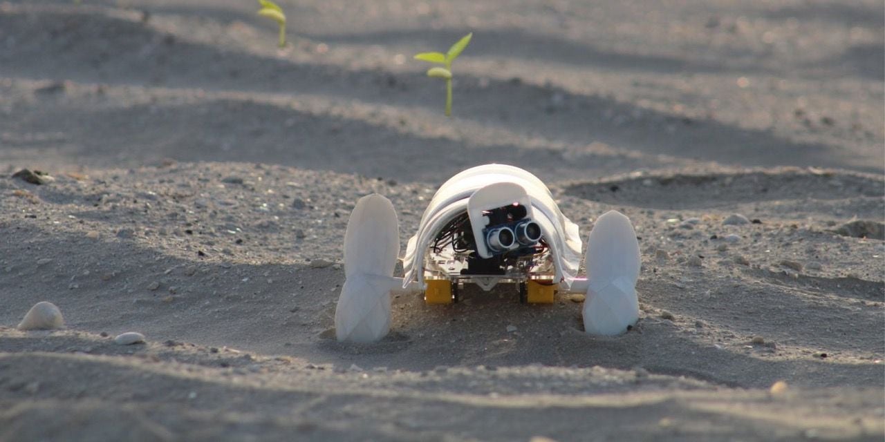 A'seedbot crawls through the desert sands, with emerging seedlings visible in the background.