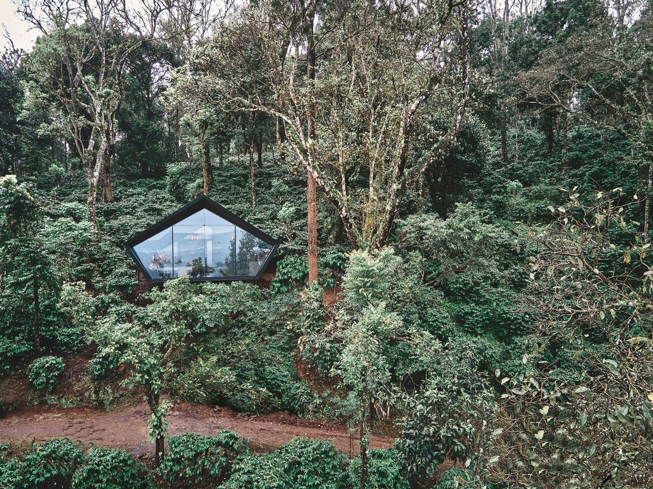 Zoomed-out view shows Cabin A24 fully immersed in its verdant surroundings. 