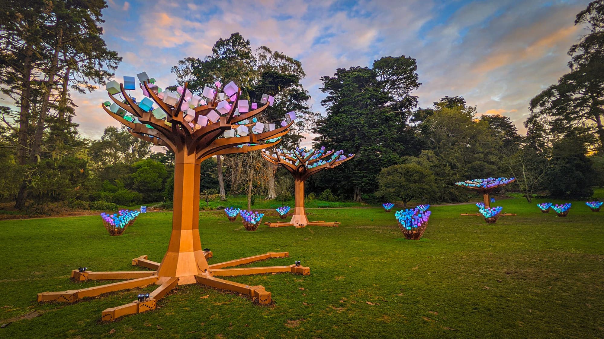 Entwined Fantastical LED Tree Exhibit Brings Glow to Golden Gate Park
