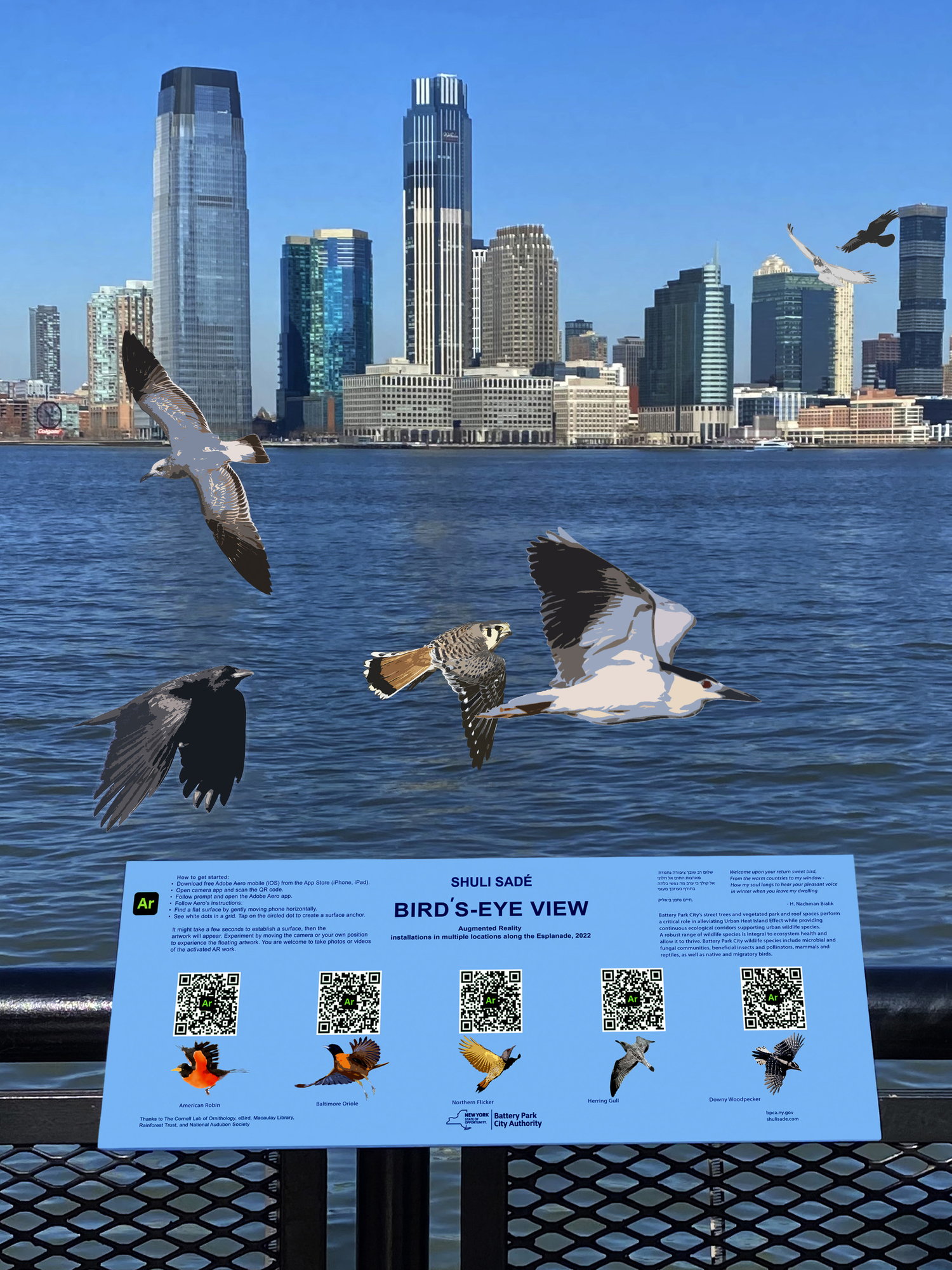 Fly with the Birds in Battery Park City’s New AR Installation
