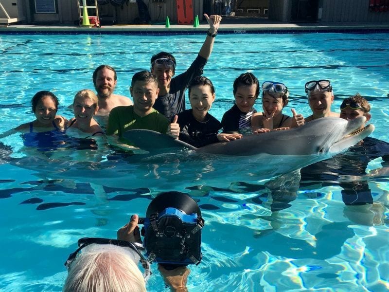 Kids and parents play in the water with Edge Innovations' robotic dolphin prototype.