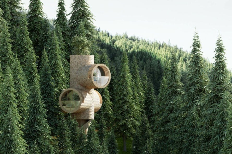 Bert Modular Treehouse Can “Grow” Like the Forest Around It