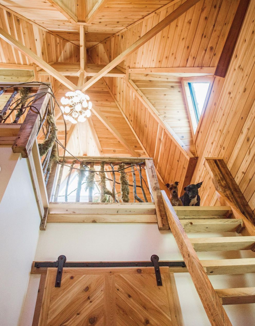 Jacob Witzling and Sara Underwood's pets peer down from an upper level inside the handmade Castle Cabin.