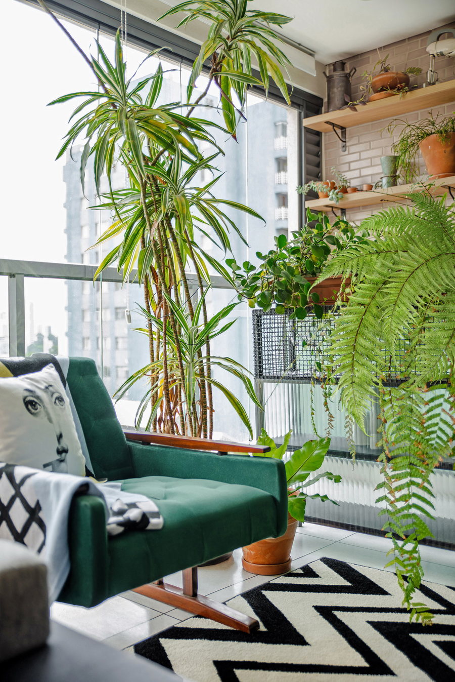 Small armchair in the FM House Living Room surrounded by lush houseplants.
