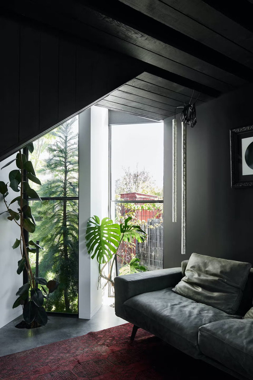 Large houseplants line a living space in the spiky black home surrounded by large glass windows.