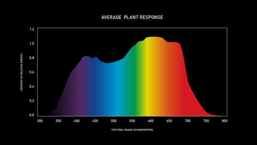 This chart shows how plants respond when exposed to different colors.