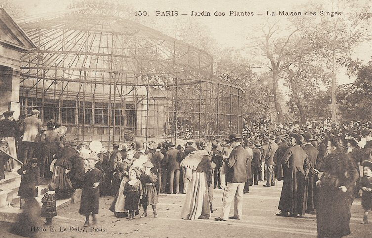 Historical image of the zoo featured inside the Jardin des Plantes.