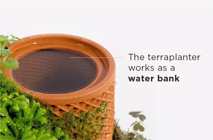 More importantly than just looking really cool, the Terraplanter makes your life easier by working as a fully functional water bank.