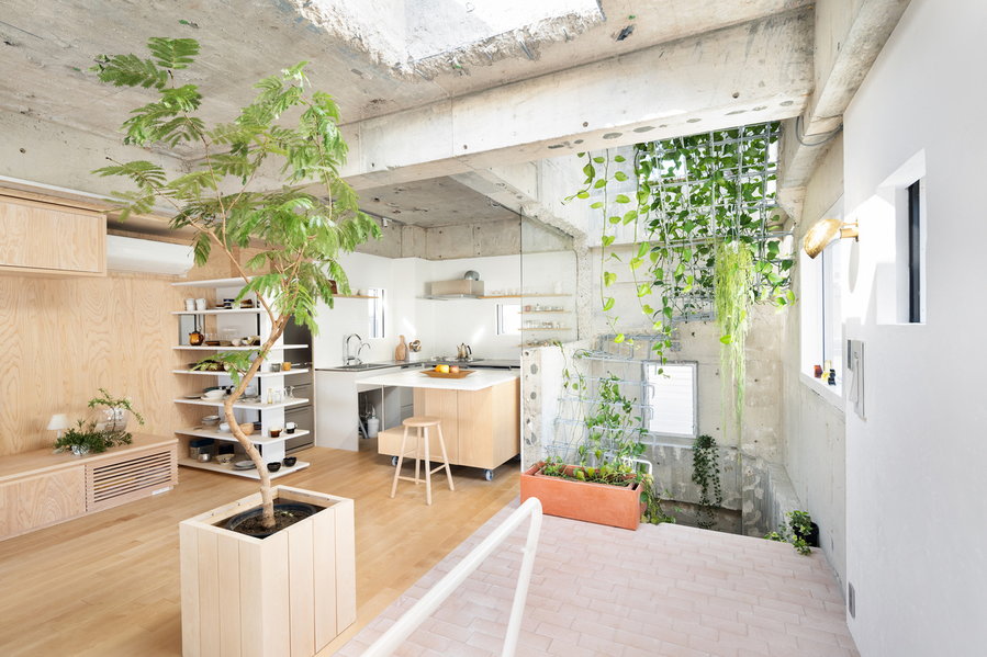 Renovated Tokyo residence by MAMM Design incorporates a lot of exposed raw concrete and plant life.