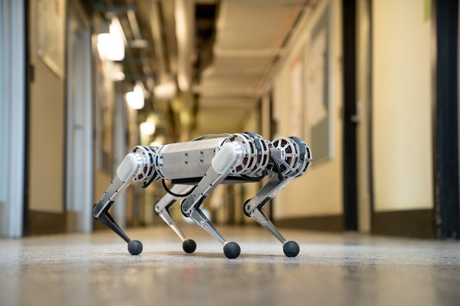 MIT's lightning-fast Mini Cheetah robot constantly teaches itself new tricks using the power of artificial intelligence.