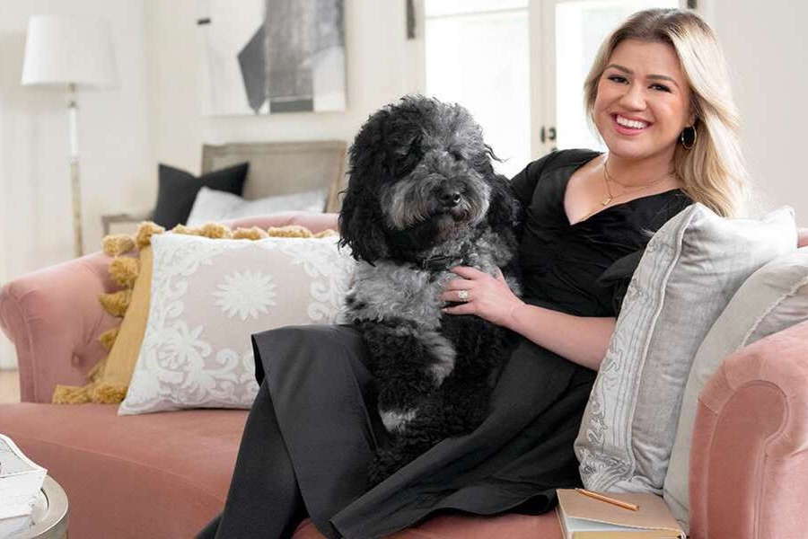 Kelly Clarkson poses with her dog on one of the soft pink couches she recently designed in collaboration with Wayfair.  