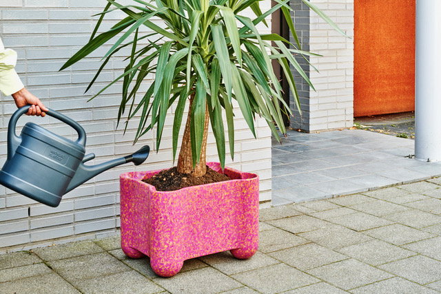 The Afterlife storage crate/planter is a fully recyclable piece from Supernovas and Odd Matter. 