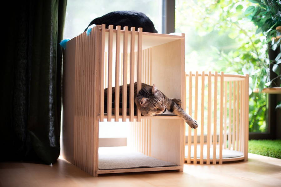 Rectangular Cat House by LiveinIdeals, winner of the 2022 Etsy Awards' Pets' category.