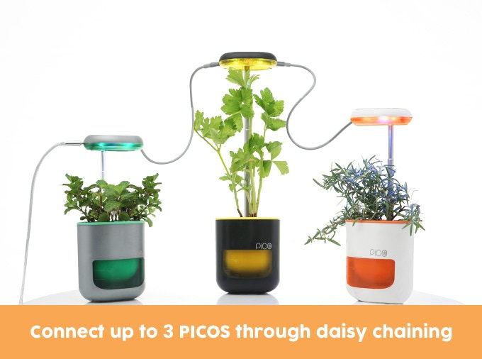 Daisy-chain mutiple PICO modules together to build yourself an ultra-smart mini garden.