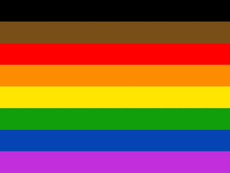 LGBTQIA+ Flag 