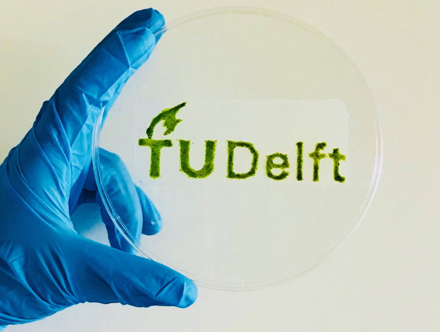 TU Delft's 3D-Printed Microalgae could be used to form 