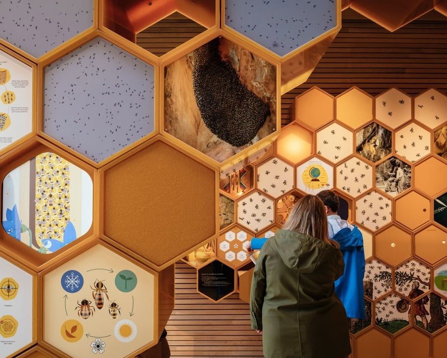 Visitors peruse all the bee-related imagery printed on the Beezantium apiary's honeycomb-shaped inner walls.