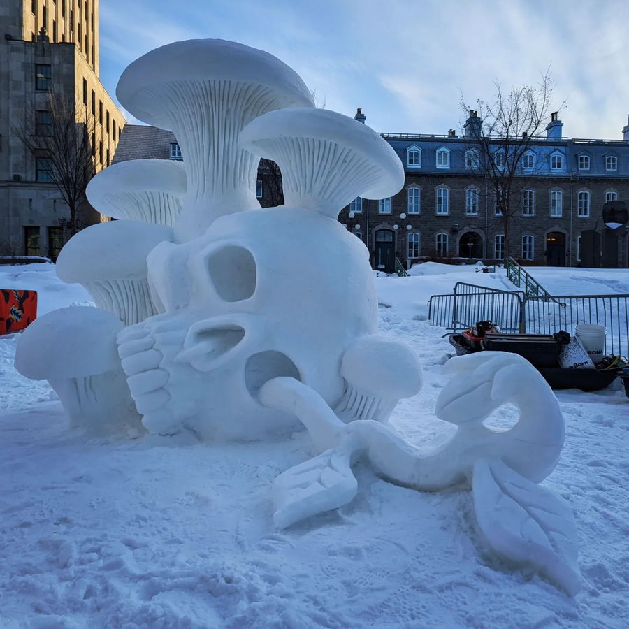 Snowy skull and mushroom sculpture by  Guy-Olivier Deveau.
