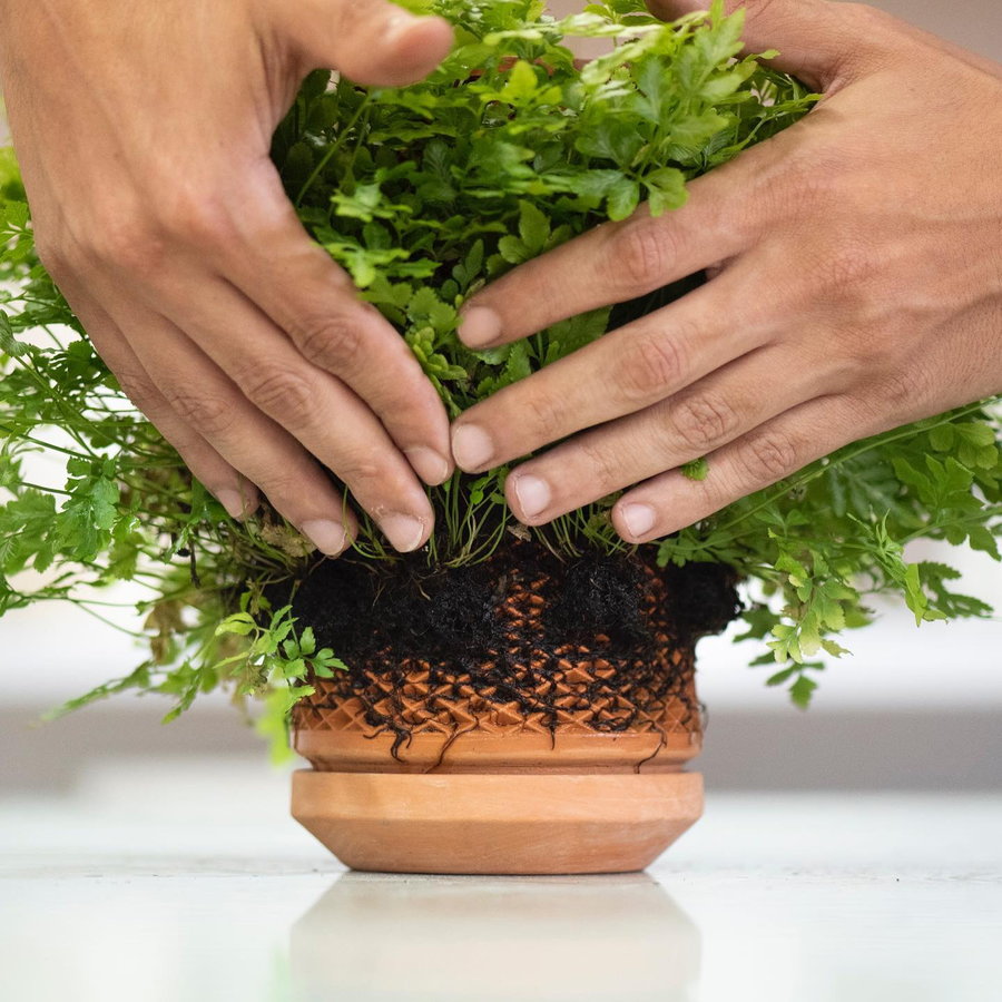Inside Out Planter Turns Plant Root Patterns Into Visual Art.