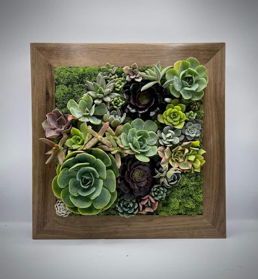 Small indoor plant wall available on Etsy.