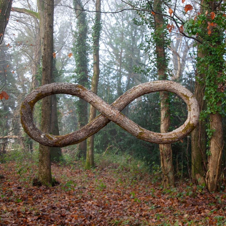 Warped tree trunk sculpture in the shape of the infinity symbol, by Christophe Guinet (aka Monsieur Plant). 