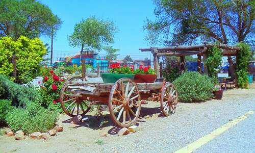 Front garden