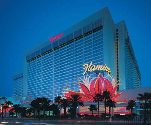 5 Reasons to Stay at the Flamingo Hotel in Las Vegas + Tips to make your  stay amazing - Family Travel Go LLC