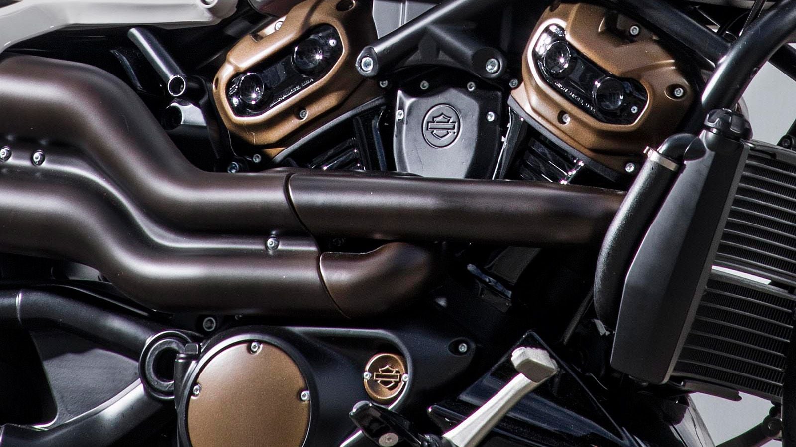 Harley-Davidson Revolution Max 1,250cc V-Twin, Liquid-Cooled Engine