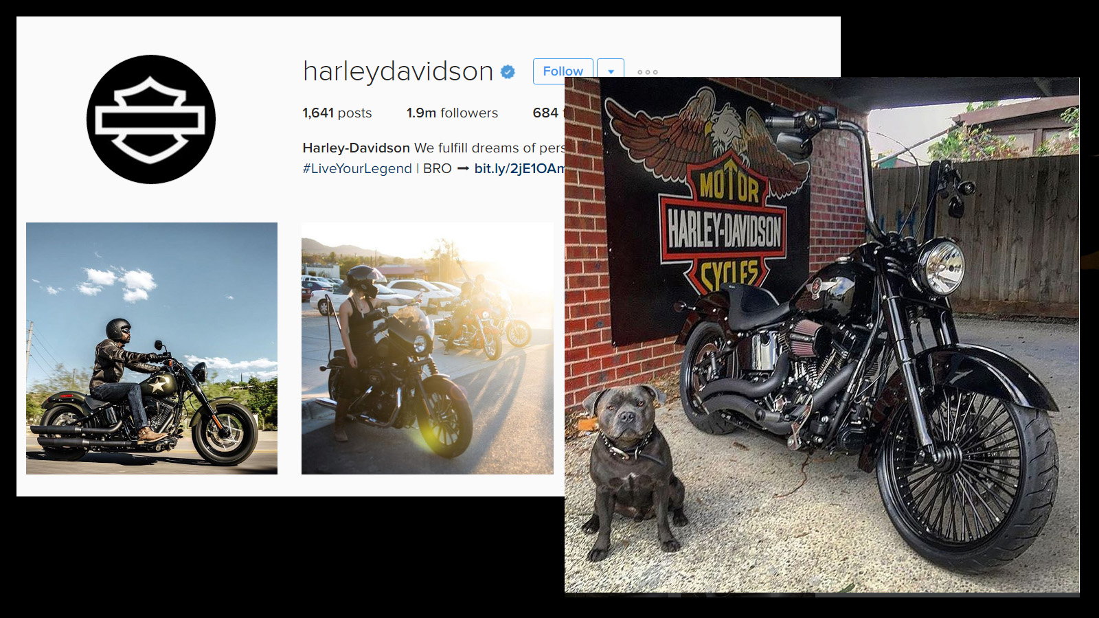 10 Best Harley Instagram Accounts Hdforums
