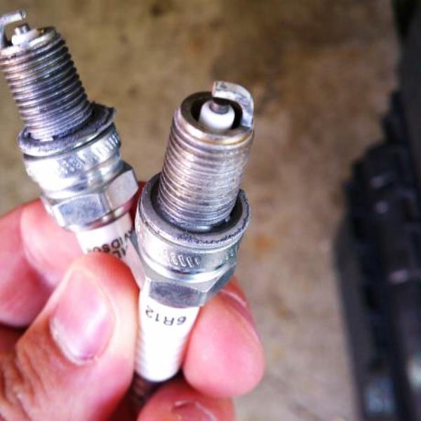 Typical Harley spark plugs