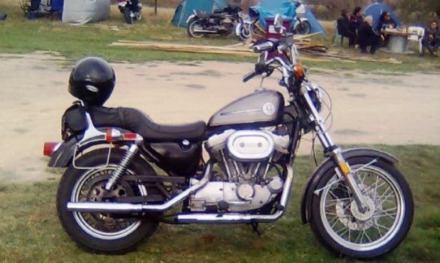 Typical 1986 Sportster