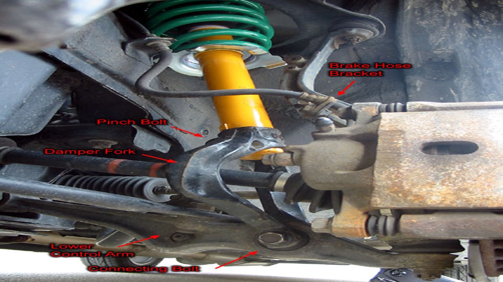 Honda Accord Why is My Suspension Bouncy? Hondatech
