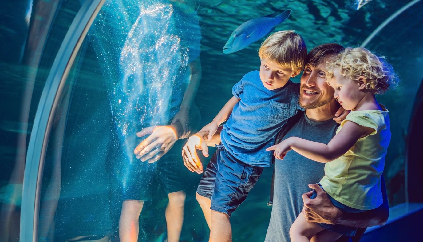 family visiting aquarium