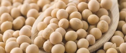 Soy Isoflavones: Natural Alternative to Clomid