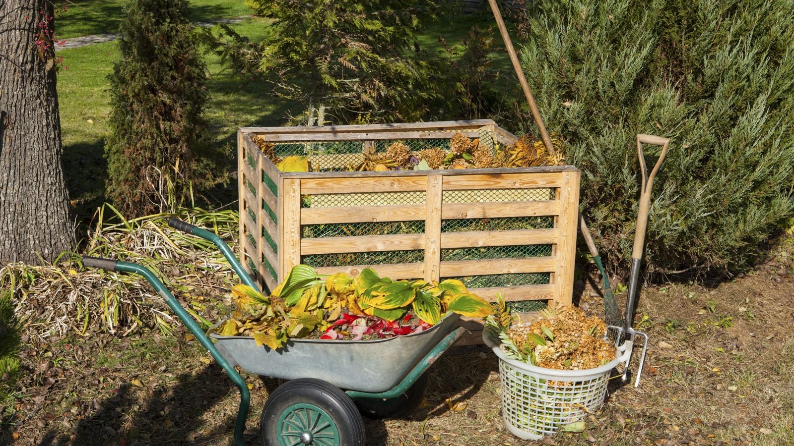 wheelbarrow full of compost