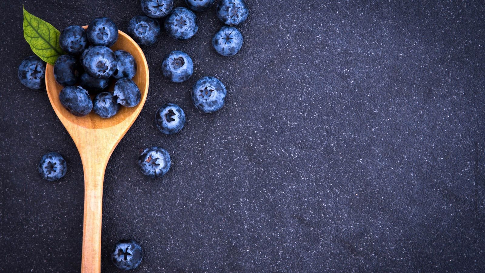 Blueberry Planting Spacing Plants and Root Systems