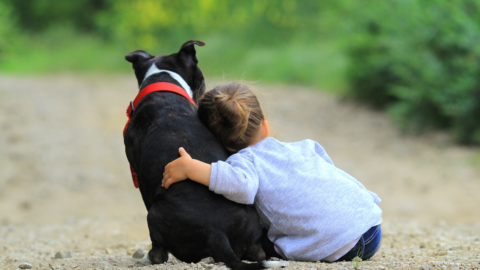 child hugging dog
