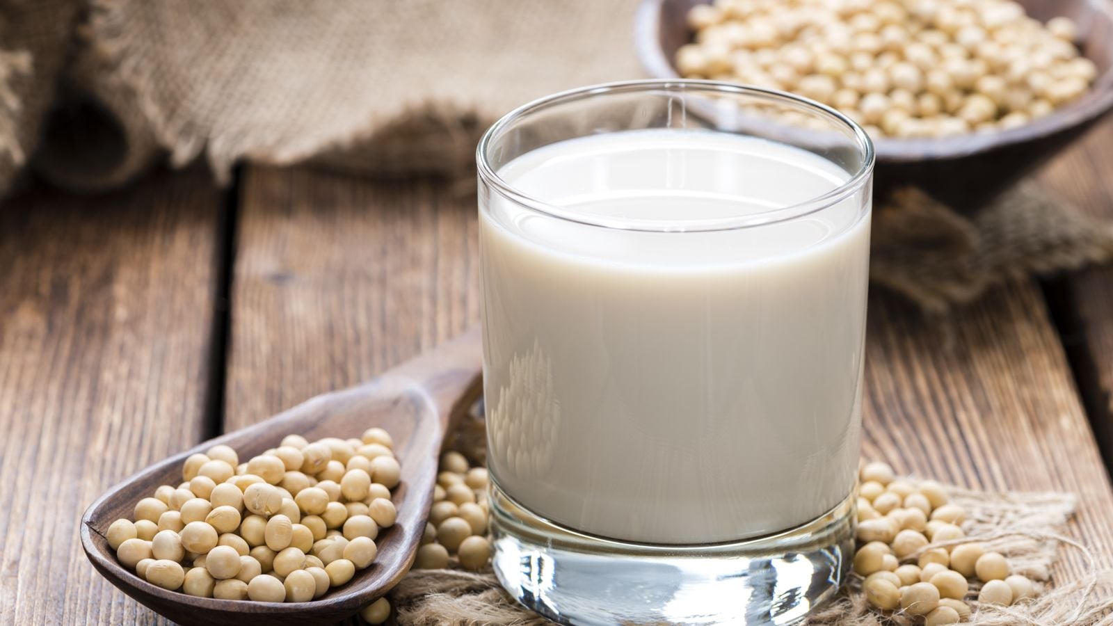 soy milk and soy beans