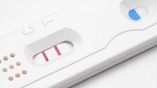 ovulation prediction kit pregnancy test opk as hpt