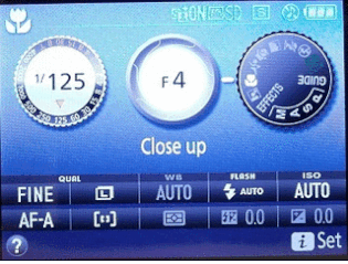 Record - scene modes GIF.gif