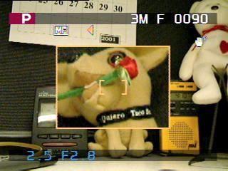 Fujifilm FinePix 6900 Zoom Review - Steve's Digicams