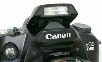 Canon EOS D60, image (c) 2002 Steve's Digicams