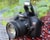 Camera Canon EOS Rebel T7 DSLR Review thumbnail
