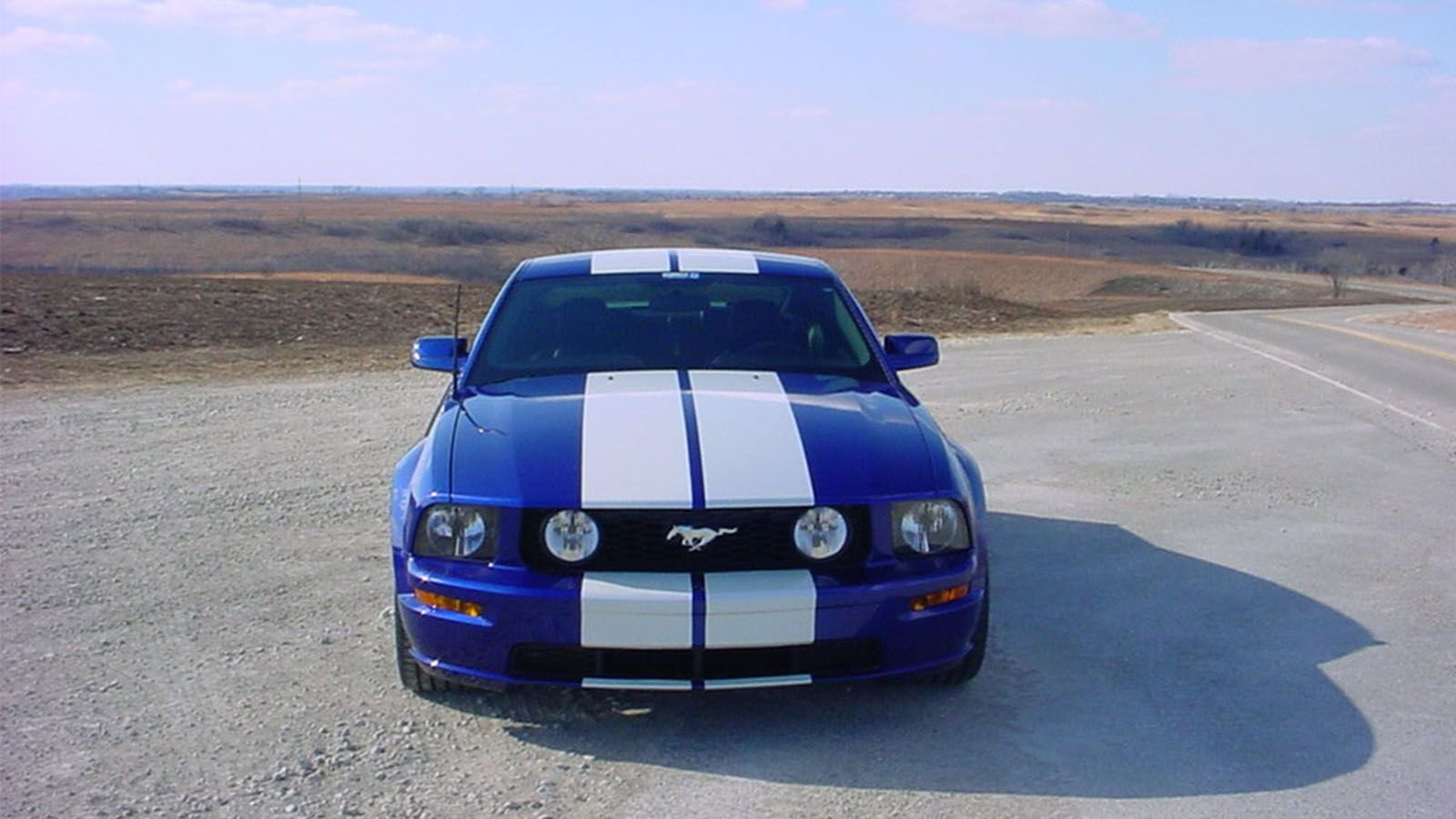 7 Stripe Options for the S197 | Themustangsource