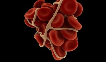 hemoglobina corpuscular media en sangre
