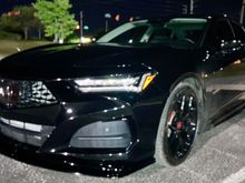 21 TLX Base in Black