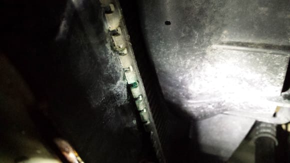 bottom of radiator