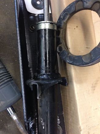 TSX Blown Strut