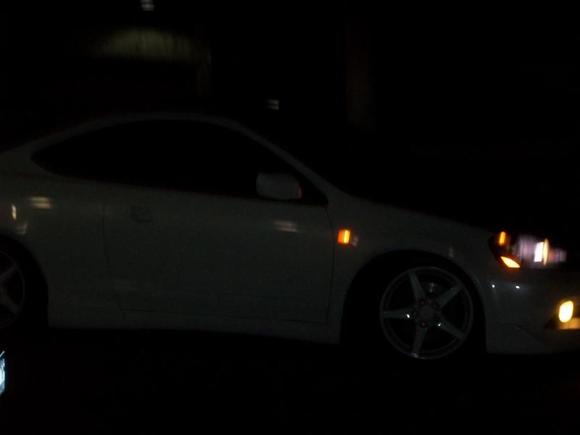 Picture 008