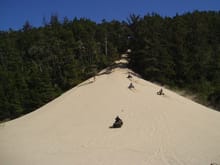 Winchester Bay, Oregon Dunes. Brother-in-law in yellow shirt on his banshee.                                                                                                                            